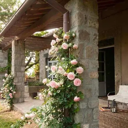 Sleeps 23 * Viterbo